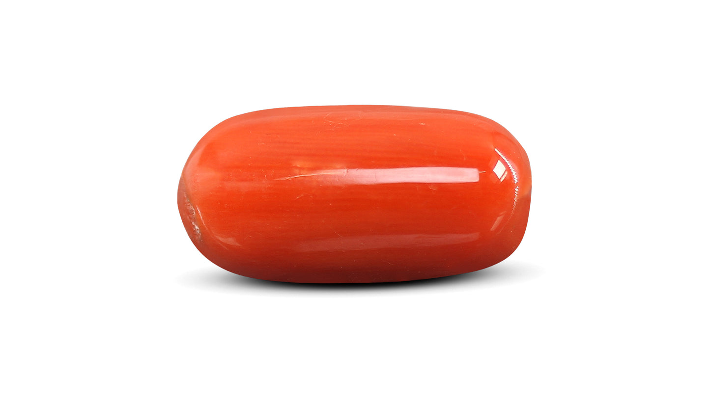 Natural Italian Red Coral (Moonga) 11.38 Carats