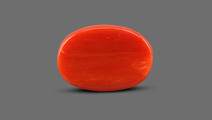 Natural Italian Red Coral (Moonga) 12.20 Carats