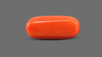 Natural Italian Red Coral (Moonga) 12.02 Carats