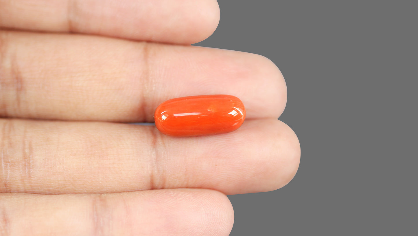 Natural Italian Red Coral (Moonga) 12.02 Carats