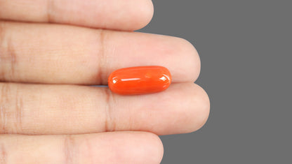 Natural Italian Red Coral (Moonga) 12.02 Carats