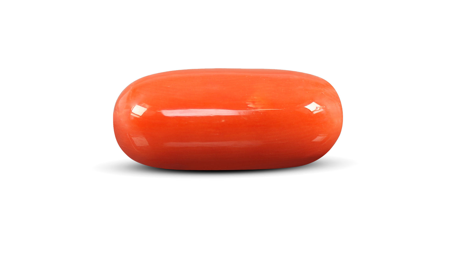 Natural Italian Red Coral (Moonga) 12.02 Carats