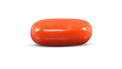 Natural Italian Red Coral (Moonga) 12.02 Carats