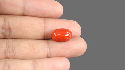 Natural Italian Red Coral (Moonga) 11.93 Carats