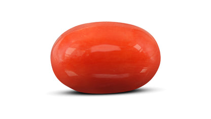 Natural Italian Red Coral (Moonga) 11.93 Carats