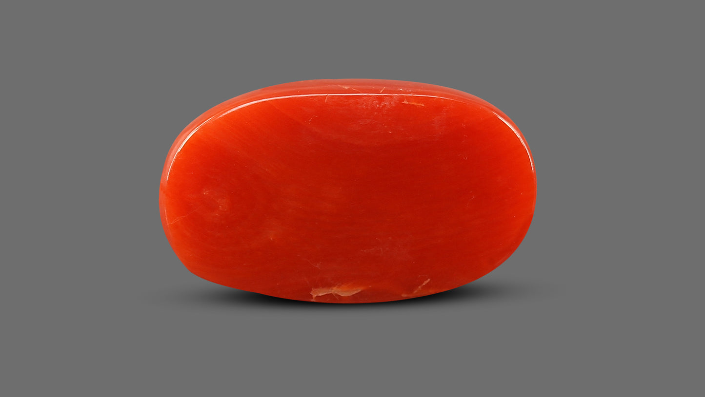 Natural Italian Red Coral (Moonga) 13.20 Carats