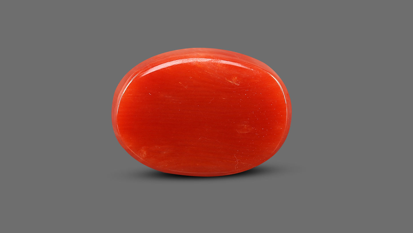 Natural Italian Red Coral (Moonga) 12.80 Carats