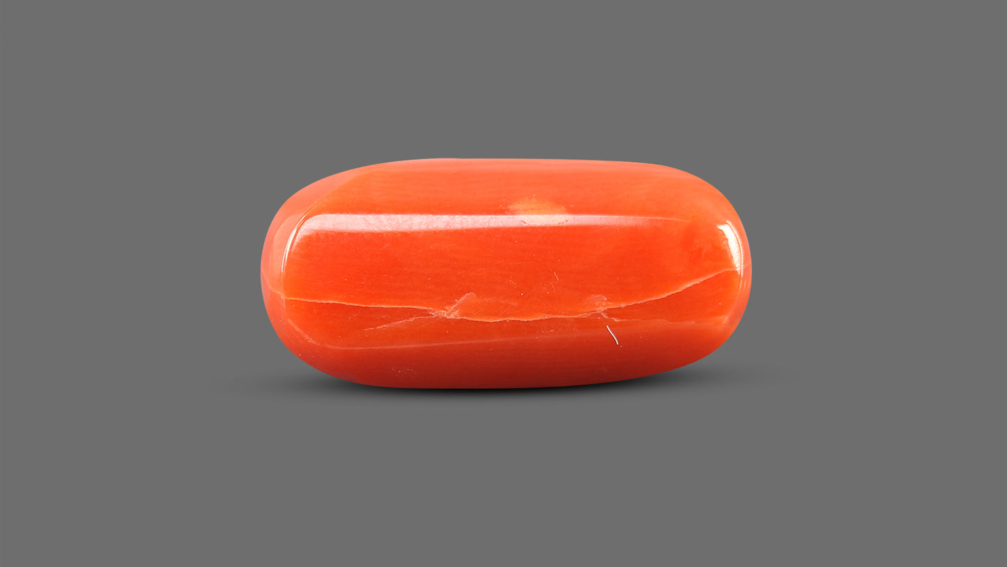 Natural Italian Red Coral (Moonga) 12.36 Carats