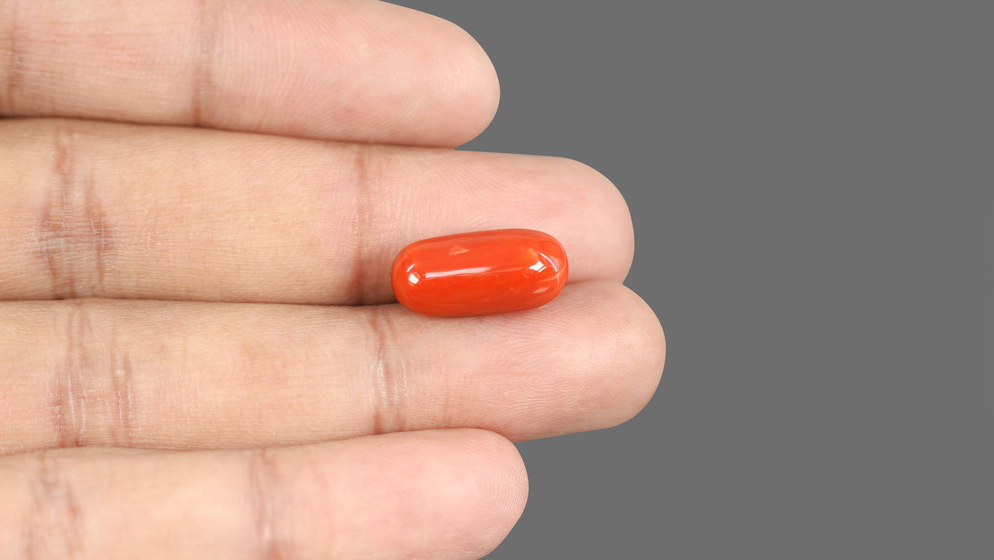 Natural Italian Red Coral (Moonga) 12.36 Carats