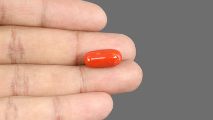 Natural Italian Red Coral (Moonga) 12.36 Carats