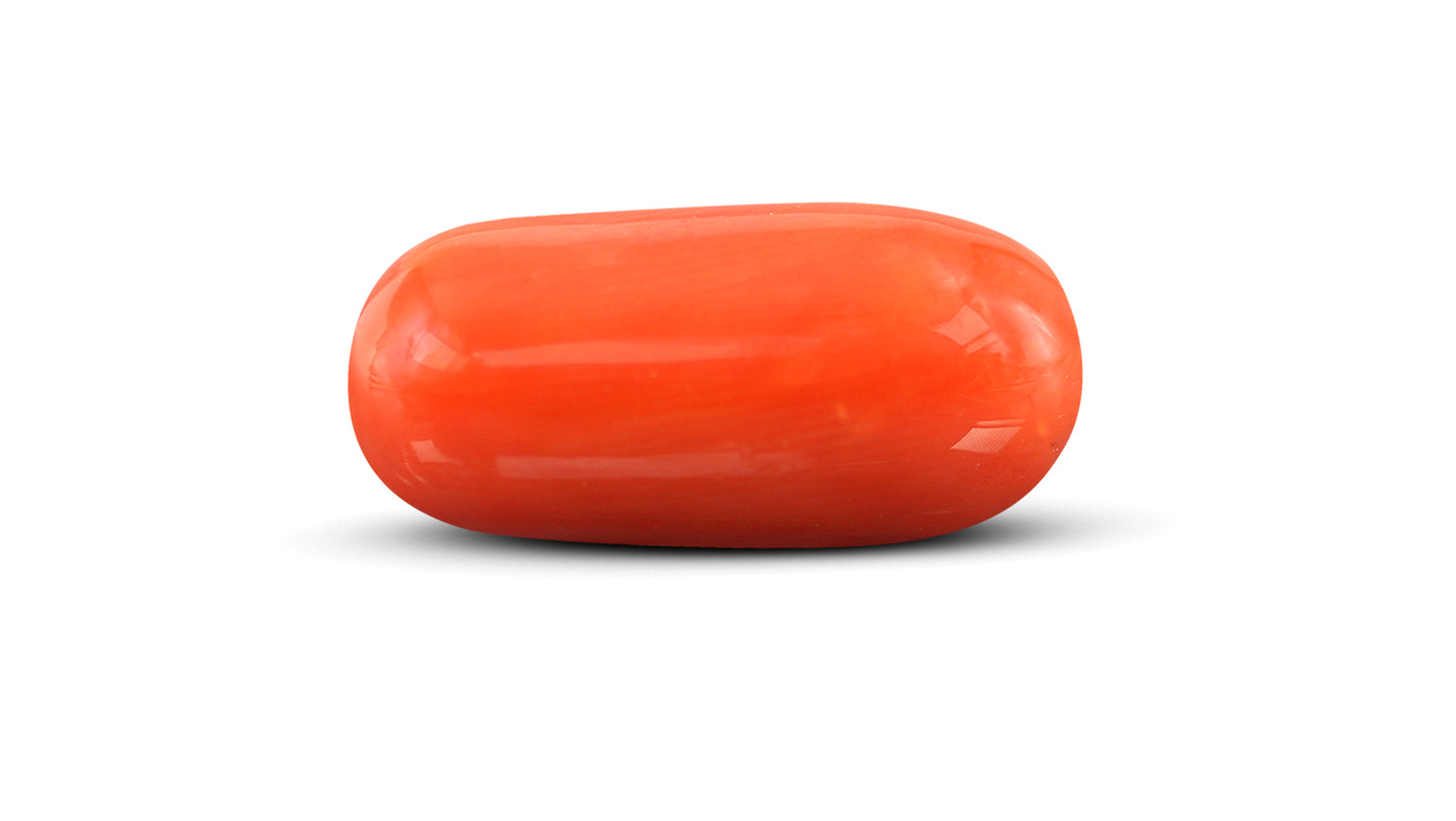 Natural Italian Red Coral (Moonga) 12.36 Carats