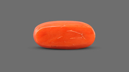 Natural Italian Red Coral (Moonga) 13.34 Carats