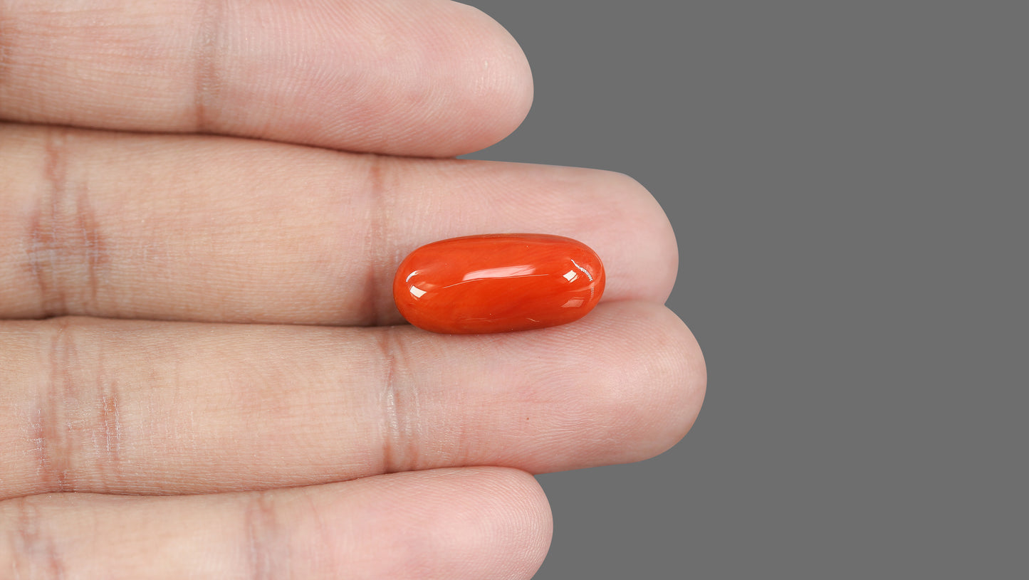 Natural Italian Red Coral (Moonga) 13.34 Carats