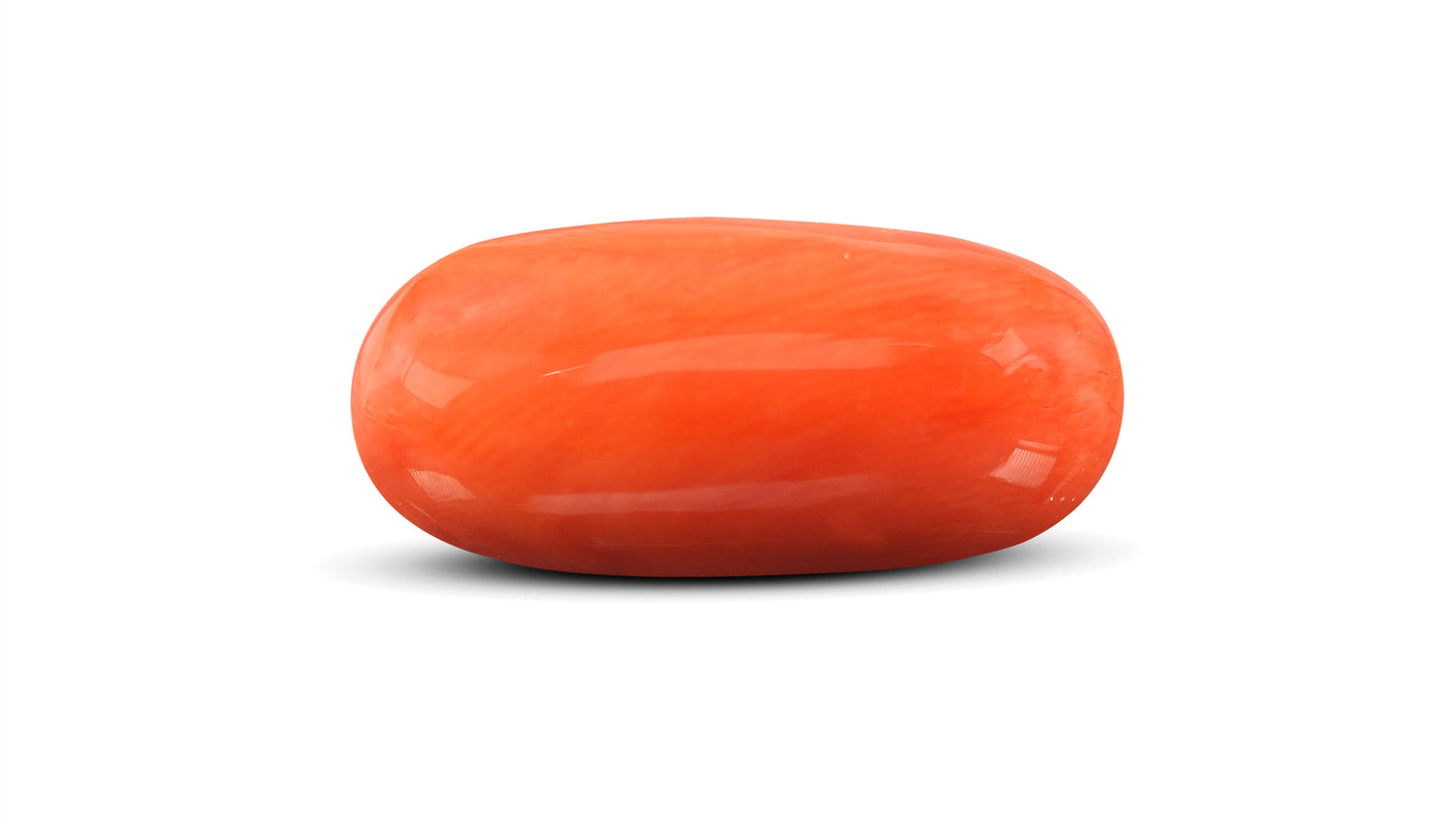 Natural Italian Red Coral (Moonga) 13.34 Carats