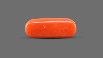 Natural Italian Red Coral (Moonga) 15.22 Carats