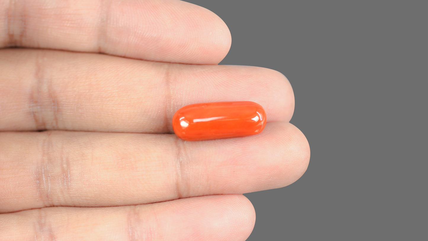 Natural Italian Red Coral (Moonga) 15.22 Carats