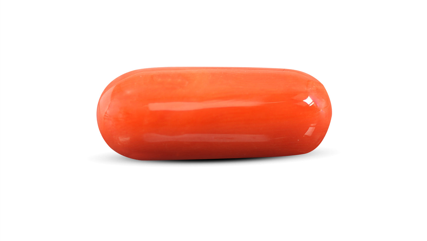 Natural Italian Red Coral (Moonga) 15.22 Carats