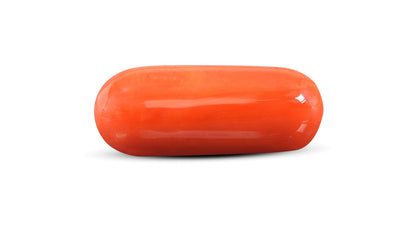 Natural Italian Red Coral (Moonga) 15.22 Carats