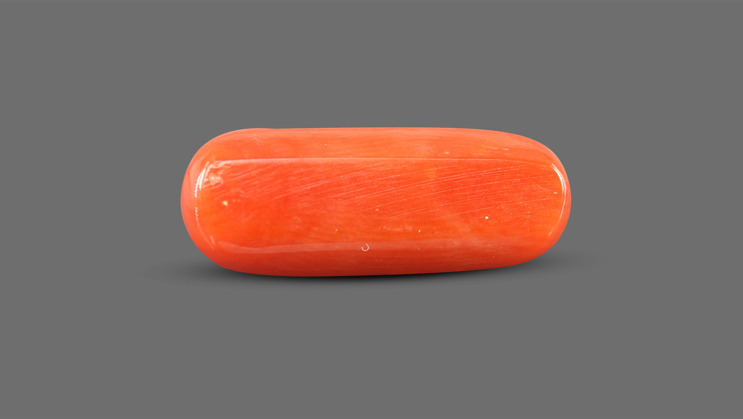 Natural Italian Red Coral (Moonga) 8.89 Carats