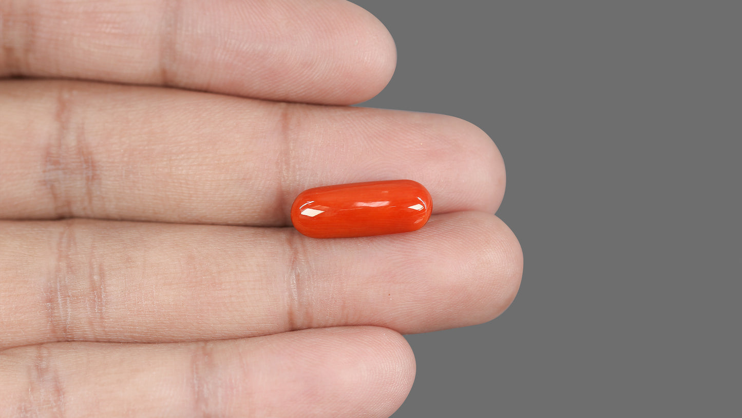 Natural Italian Red Coral (Moonga) 8.89 Carats