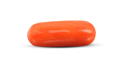 Natural Italian Red Coral (Moonga) 8.89 Carats