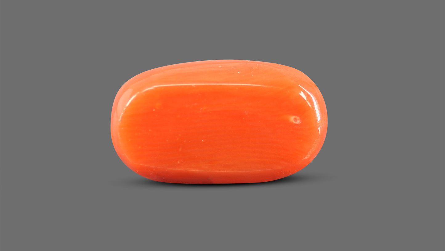 Natural Italian Red Coral (Moonga) 8.86 Carats