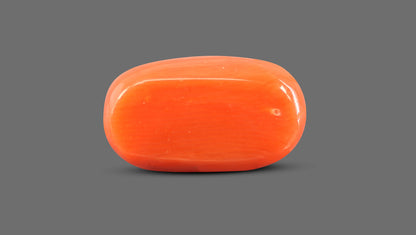 Natural Italian Red Coral (Moonga) 8.86 Carats