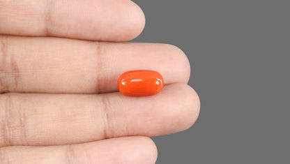 Natural Italian Red Coral (Moonga) 8.86 Carats