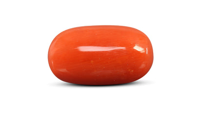 Natural Italian Red Coral (Moonga) 8.86 Carats