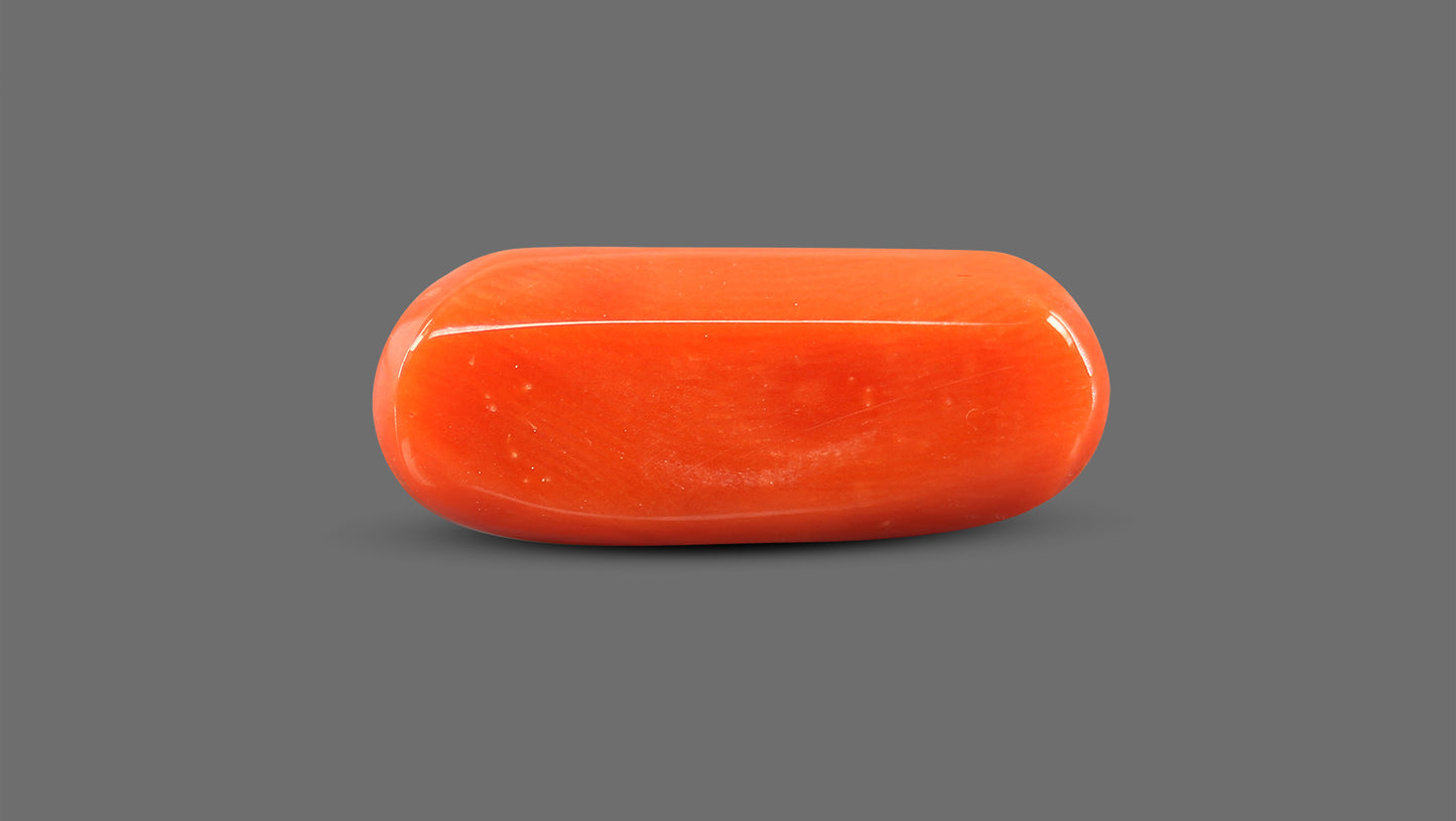 Natural Italian Red Coral (Moonga) 8.92 Carats