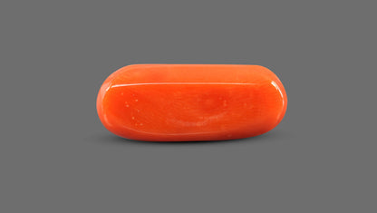 Natural Italian Red Coral (Moonga) 8.92 Carats