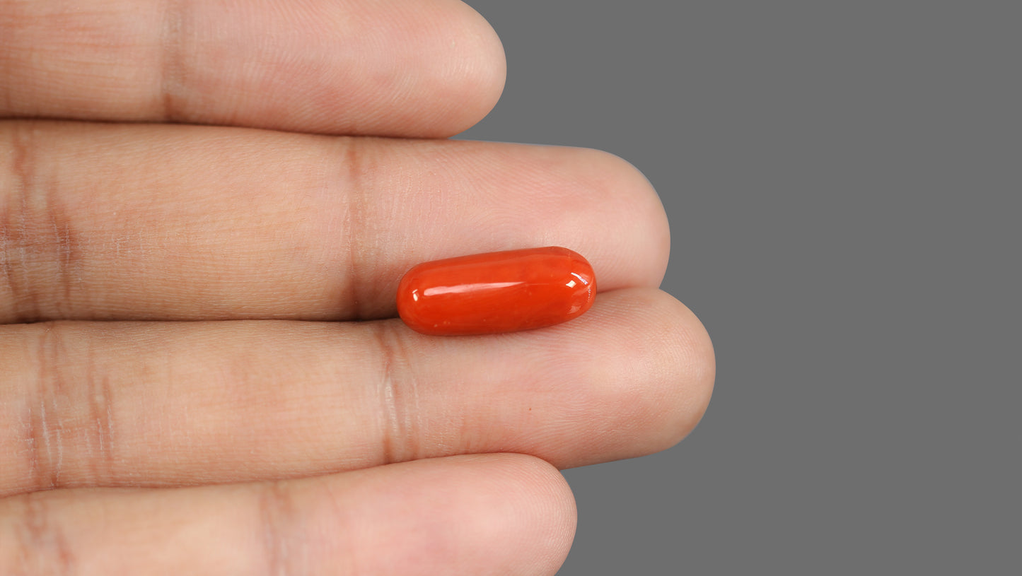 Natural Italian Red Coral (Moonga) 8.92 Carats
