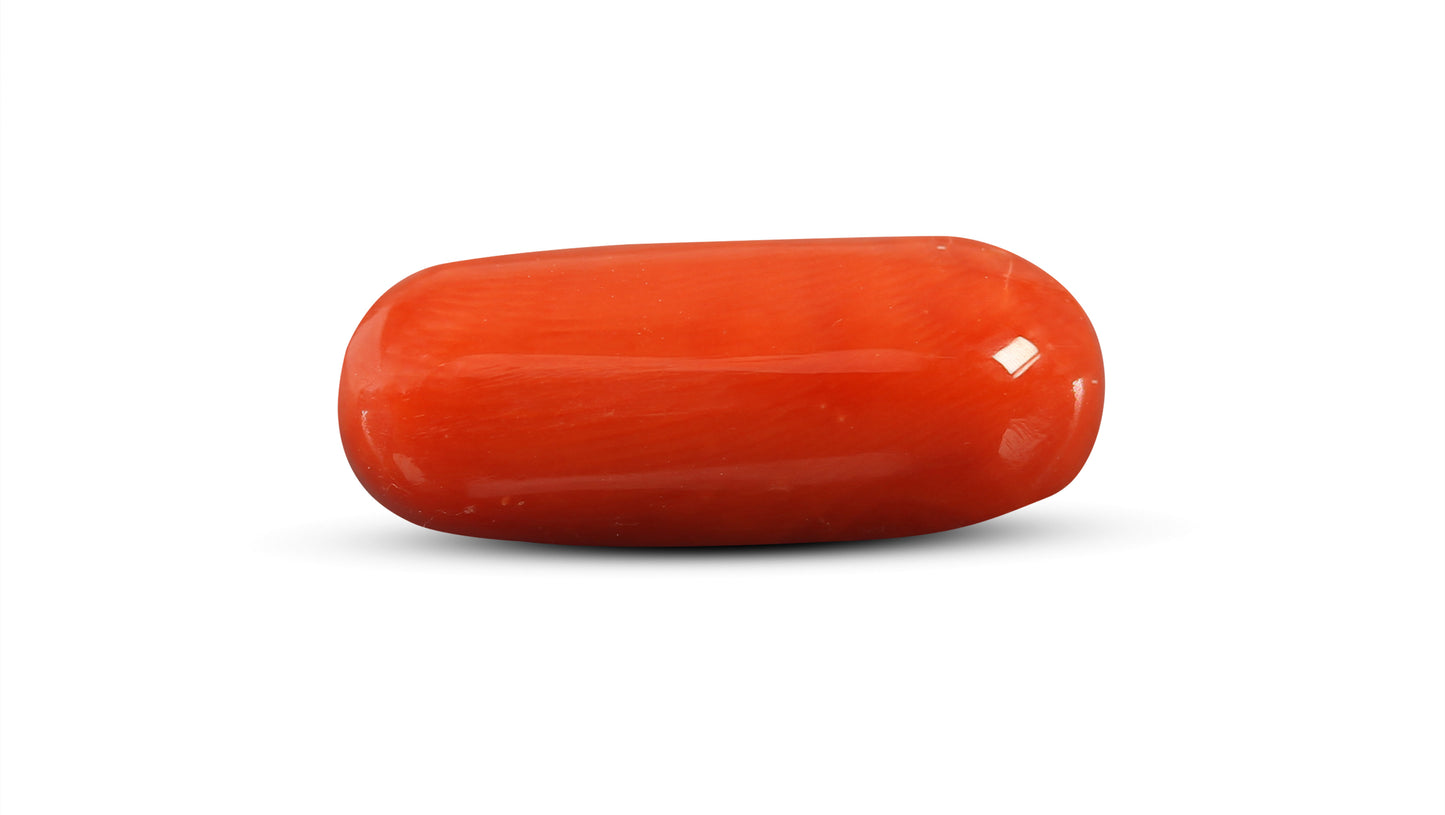Natural Italian Red Coral (Moonga) 8.92 Carats