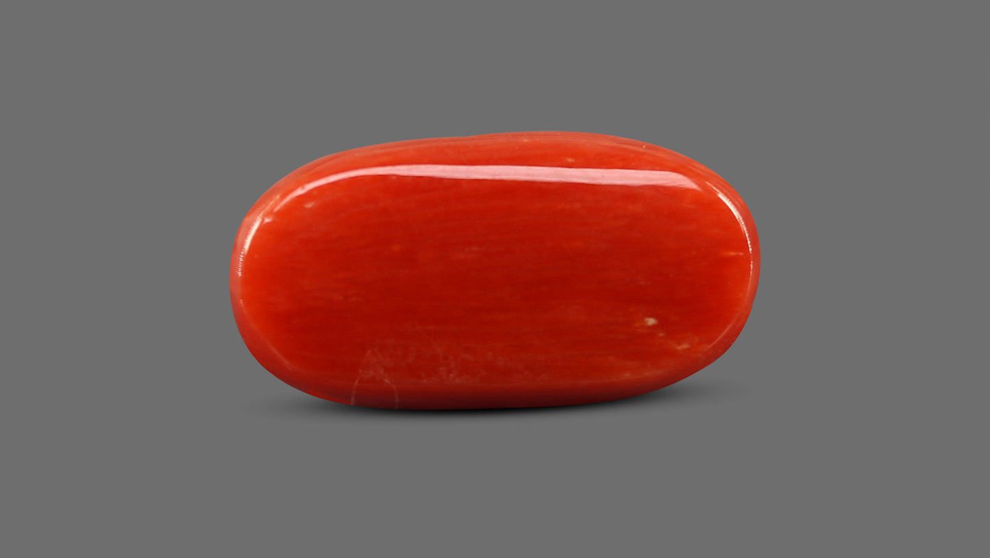 Natural Italian Red Coral (Moonga) 8.73 Carats