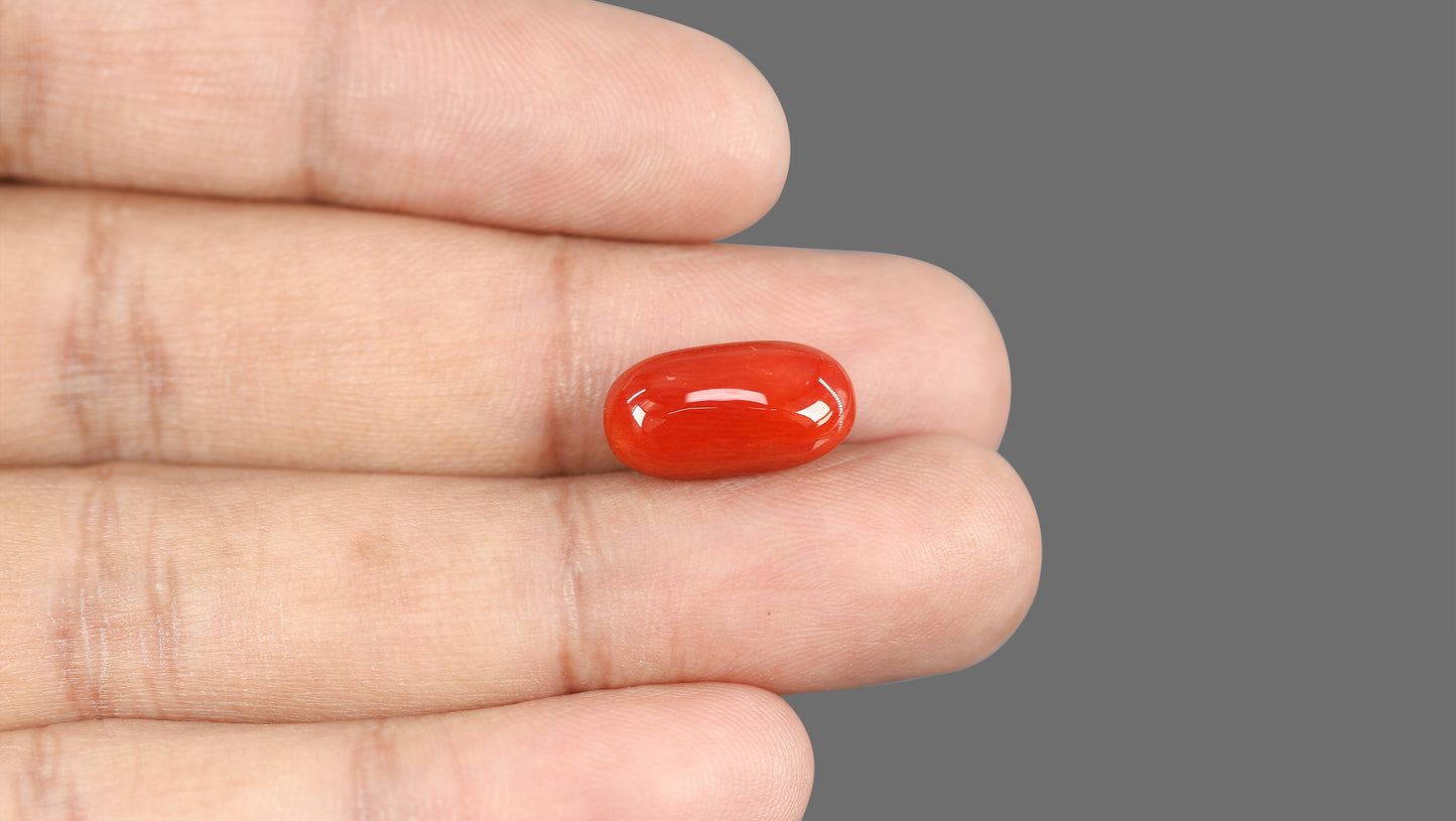 Natural Italian Red Coral (Moonga) 8.73 Carats