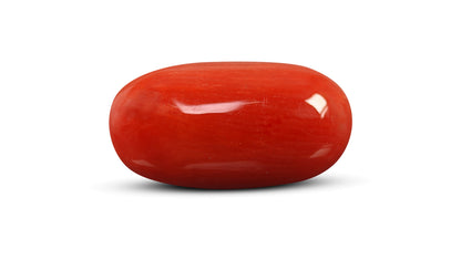Natural Italian Red Coral (Moonga) 8.73 Carats