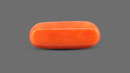 Natural Italian Red Coral (Moonga) 8.85 Carats