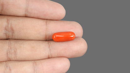 Natural Italian Red Coral (Moonga) 8.85 Carats