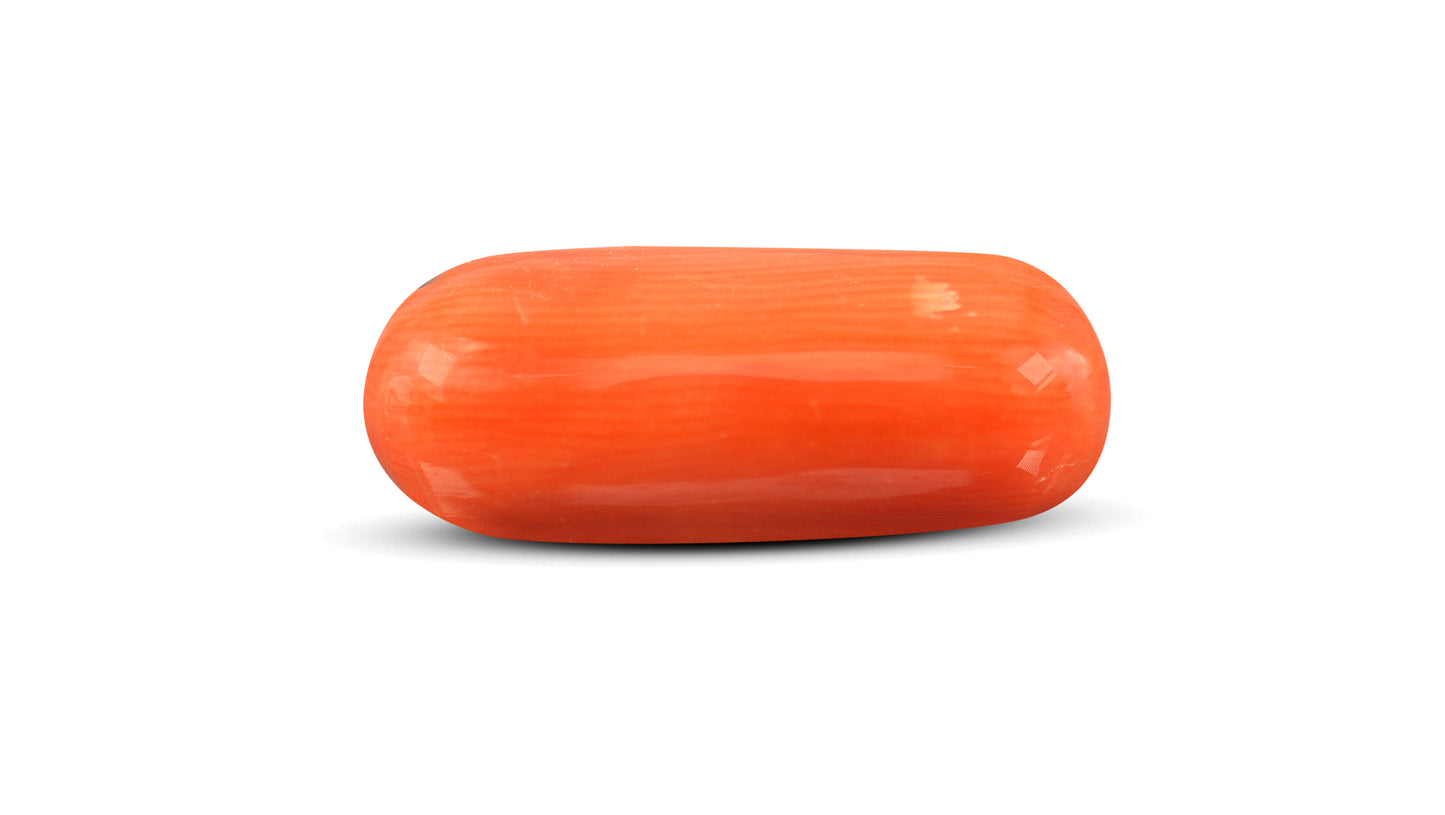 Natural Italian Red Coral (Moonga) 8.85 Carats