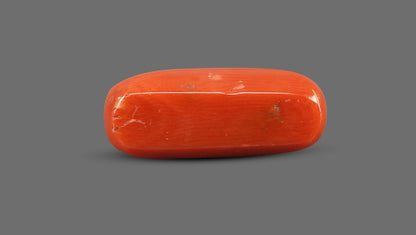 Natural Italian Red Coral (Moonga) 8.63 Carats
