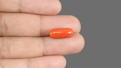 Natural Italian Red Coral (Moonga) 8.63 Carats