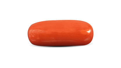 Natural Italian Red Coral (Moonga) 8.63 Carats