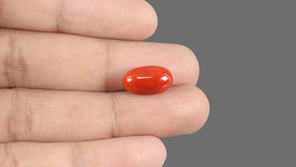 Natural Italian Red Coral (Moonga) 8.65 Carats