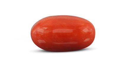 Natural Italian Red Coral (Moonga) 8.65 Carats