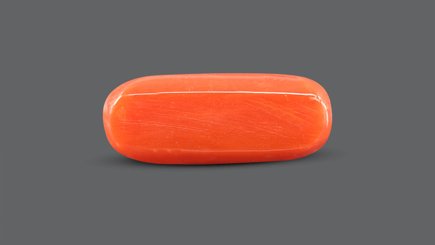 Natural Italian Red Coral (Moonga) 10.79 Carats