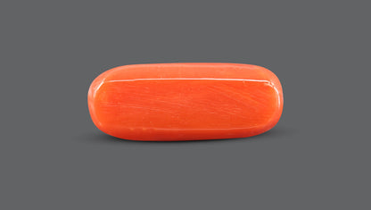 Natural Italian Red Coral (Moonga) 10.79 Carats