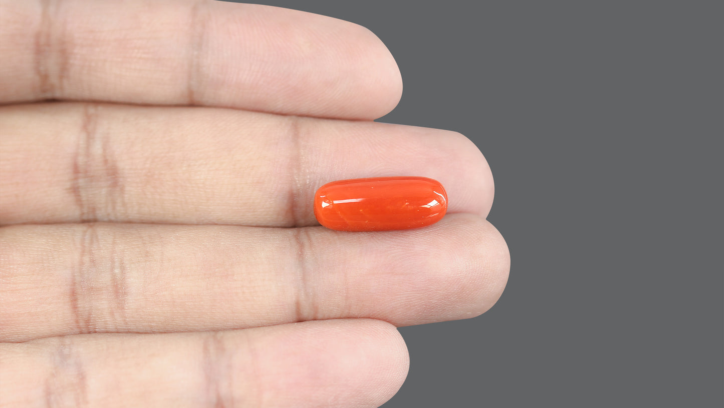 Natural Italian Red Coral (Moonga) 10.79 Carats