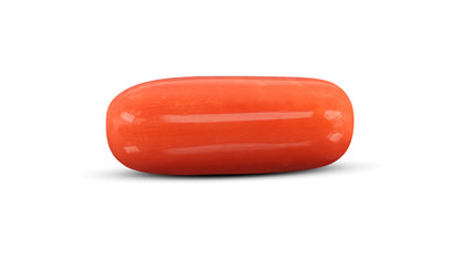 Natural Italian Red Coral (Moonga) 10.79 Carats