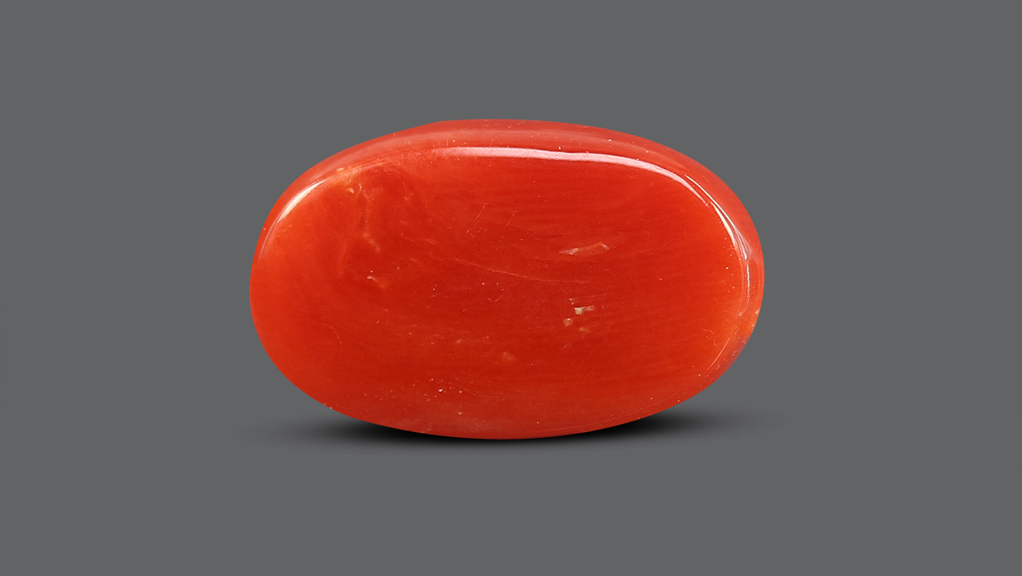 Natural Italian Red Coral (Moonga) 10.82 Carats