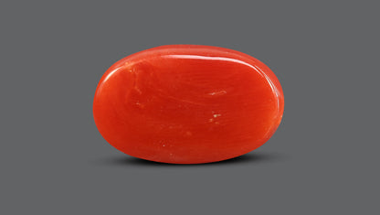 Natural Italian Red Coral (Moonga) 10.82 Carats